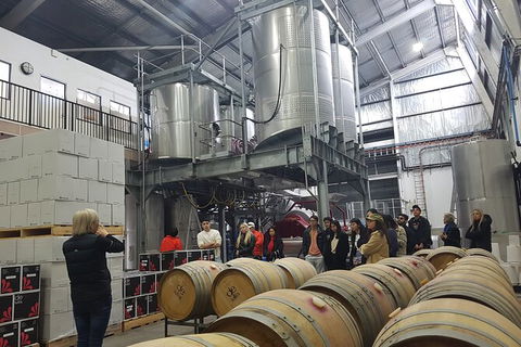 Hunter Valley Small Group Wine, Gin, Cheese & Chocolate Tour - Accommodation NT 6