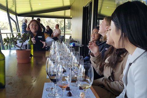 Hunter Valley Small Group Wine, Gin, Cheese & Chocolate Tour - Accommodation NT 2