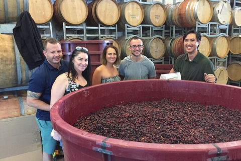 Hunter Valley Small Group Wine, Gin, Cheese & Chocolate Tour - Accommodation NT 0