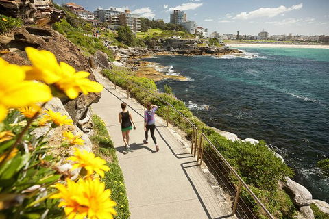 Sydney Uncovered Full-Day Tour - NT Tourism 7