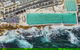 Sydney Beaches, Baths & Rockpools - thumb 1