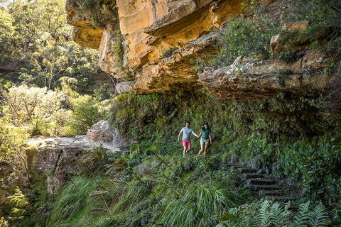 Private Guided: Blue Mountains Hiking & Nature Tour - Accommodation NT 1