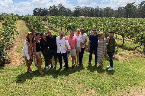 Hunter Valley Exclusive Kangaroo And Wine Tasting Experience - Accommodation NT 6