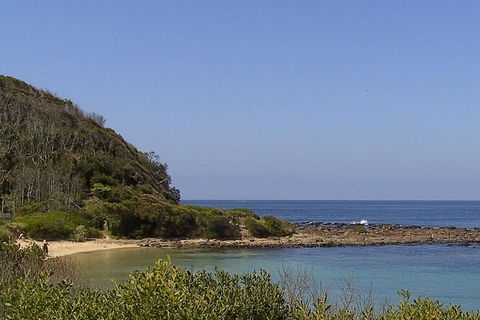 Broulee Island Nature Reserve: An Audio Tour Of This Tranquil Island Paradise - Accommodation NT 4
