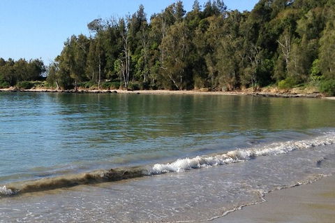 Broulee Island Nature Reserve: An Audio Tour Of This Tranquil Island Paradise - Accommodation NT 0