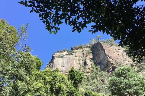 Blue Mountains Tour (ScenicWorld) - Accommodation NT 1