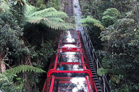 Blue Mountains Tour (ScenicWorld) - Accommodation NT 5