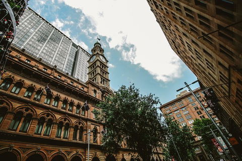 Sydney Sightseeing Tour In A Luxury Mercedes-Benz People Mover - NT Tourism 6