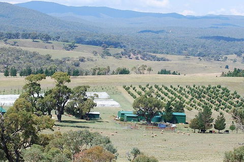 Truffle Hunt And Luncheon - NT Tourism 0