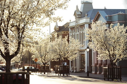 Mudgee 2 Day Private Wine Tasting And Sightseeing Tour From Sydney - Accommodation NT 3