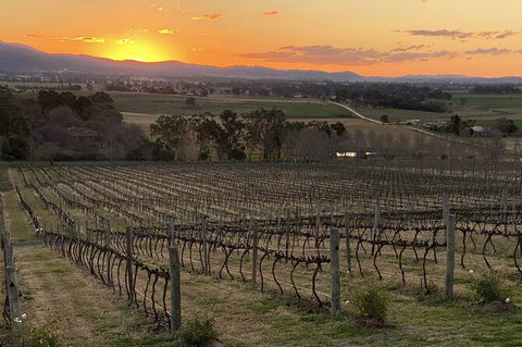 Mudgee 2 Day Private Wine Tasting And Sightseeing Tour From Sydney - Accommodation NT 15
