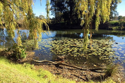 Mudgee 2 Day Private Wine Tasting And Sightseeing Tour From Sydney - Accommodation NT 17