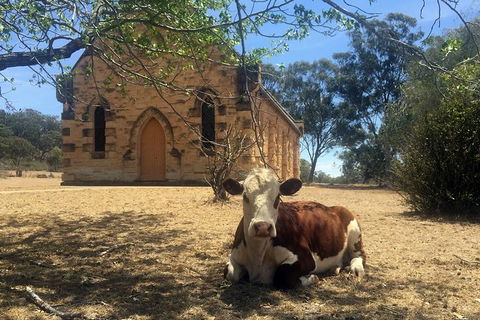 Mudgee 2 Day Private Wine Tasting And Sightseeing Tour From Sydney - Accommodation NT 12