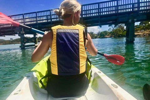 2-Hour Rental Kayak Double In Brunswick River - Accommodation NT 3