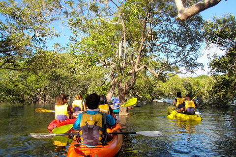 2-Hour Rental Kayak Double In Brunswick River - Accommodation NT 2