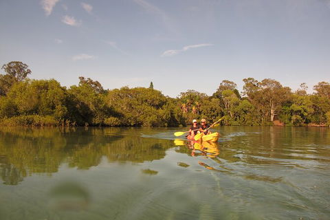 2-Hour Rental Kayak Double In Brunswick River - Accommodation NT 5