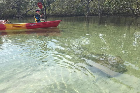 2-Hour Rental Kayak Double In Brunswick River - Accommodation NT 6