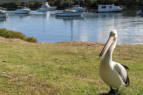 Central Coast Explorer With \'Personalised Sydney Tours\' - Accommodation NT 3