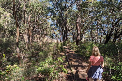 Central Coast Explorer With \'Personalised Sydney Tours\' - Accommodation NT 4