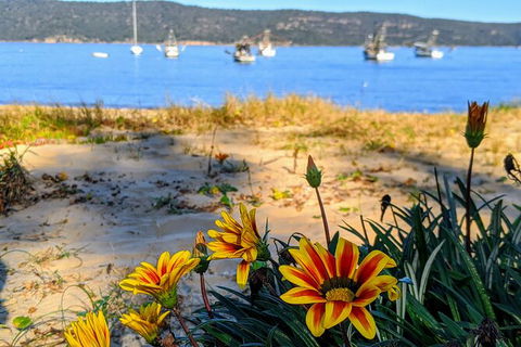 Central Coast Explorer With \'Personalised Sydney Tours\' - Accommodation NT 7