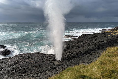 Erupting Blowholes And Ancient Rainforests With \'Personalised Sydney Tours\' - Accommodation NT 6