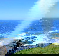 Erupting Blowholes and Ancient Rainforests with 'Personalised Sydney Tours'
