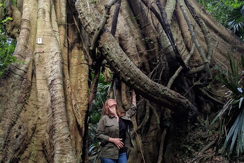 Erupting Blowholes And Ancient Rainforests With \'Personalised Sydney Tours\' - Accommodation NT 3