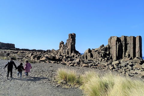 Erupting Blowholes And Ancient Rainforests With \'Personalised Sydney Tours\' - Accommodation NT 2