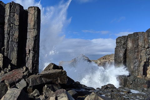 Erupting Blowholes And Ancient Rainforests With \'Personalised Sydney Tours\' - Accommodation NT 5
