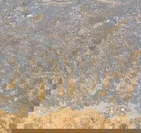 Aboriginal Rock Art