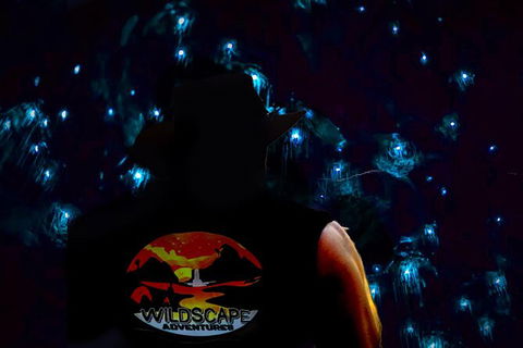 Night 4WD & Guided Glow Worm Tour Wildlife Spotlighting Blue Mountains Adventure - Accommodation NT 0