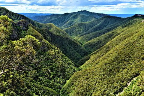 Jenolan Caves Blue Mountains And Kanangra Walls Look Out 4WD Day Tour - Accommodation NT 5