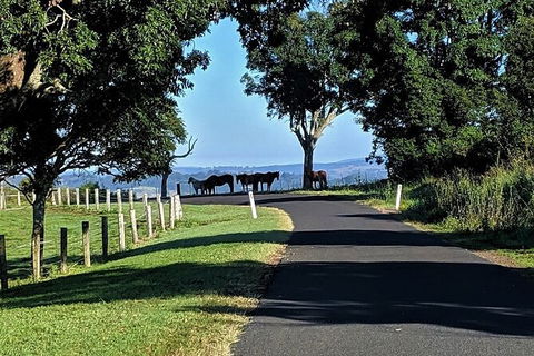 7 Day - Byron Bay Cycling Holiday - Accommodation NT 6