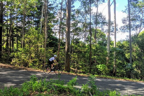 7 Day - Byron Bay Cycling Holiday - Accommodation NT 14