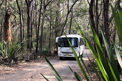 Royal National Park Shuttle Bus To The Coast Track - Accommodation NT 0