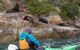 Sydney Kayak Seal Encounter Adventure With Gourmet Food - thumb 0