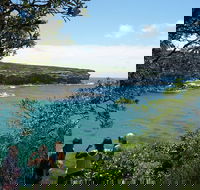 Private Luxury Sydney's Royal National Park Full Day Tour