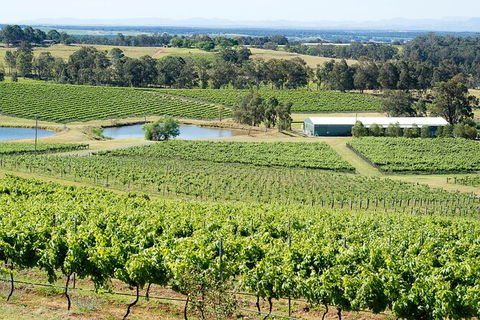 Hunter Valley All-Inclusive Small Group Tour - NT Tourism 2
