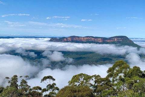 Small Group Blue Mountain Tour With A Local Guide - NT Tourism 4