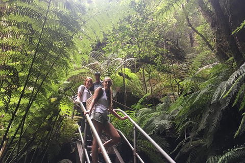 Blue Mountains Full Day Nature Tour For Four - NT Tourism 2
