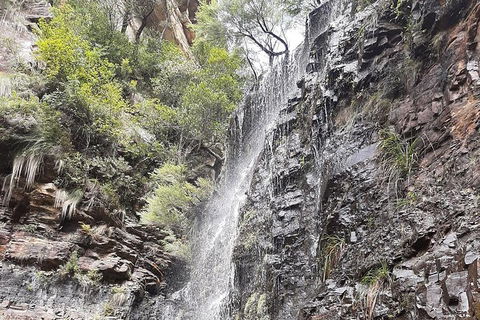 Blue Mountains Full Day Nature Tour For Four - NT Tourism 1