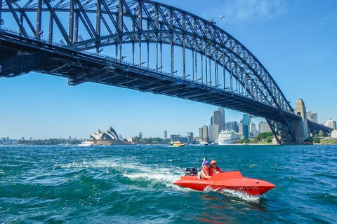 Sydney Speed Boat Adventure Harbour Tour - NT Tourism 3
