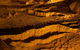 The Explorers\' Discovery Tour - Gold, Wine & Wildlife - thumb 9