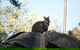 The Explorers\' Discovery Tour - Gold, Wine & Wildlife - thumb 2