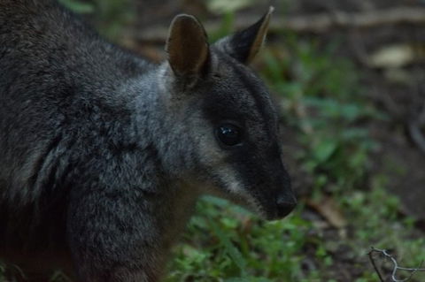From The Mountains To The Bay - 4 Day Rediscovery Private Tour - NT Tourism 3