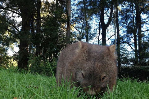 From The Mountains To The Bay - 4 Day Rediscovery Private Tour - NT Tourism 7