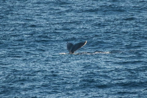 From The Mountains To The Bay - 4 Day Rediscovery Small Group Tour - NT Tourism 8