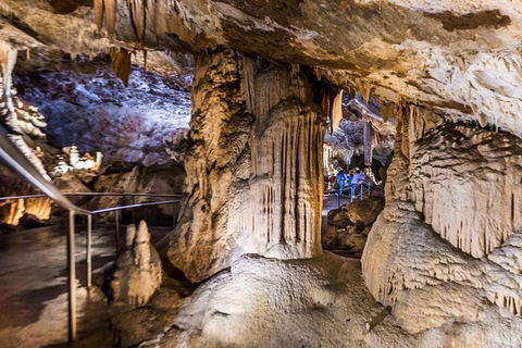 Discover The World Heritage Treasures Of The Blue Mountains Tour - Accommodation NT 2