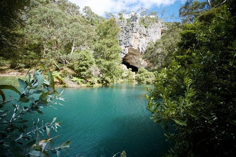 Discover The World Heritage Treasures Of The Blue Mountains Tour - Accommodation NT 5