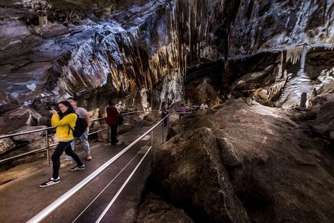 Discover The World Heritage Treasures Of The Blue Mountains Tour - Accommodation NT 1